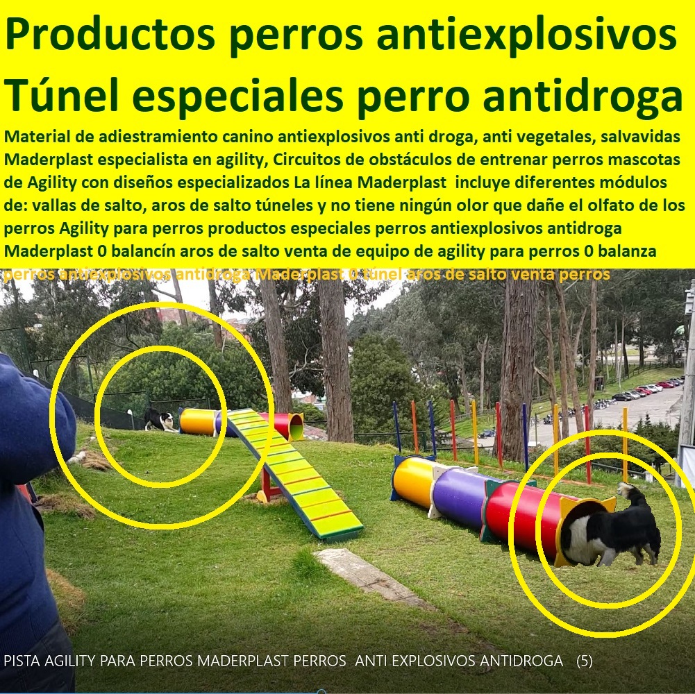 Agility De Perros, Pistas De Adiestramiento, Caninos Para Perros, Equipo De Agility Para Perros, Cunas Y Parideras Para Perros, Parques Para Perros, Corrales Para Perros, Jaulas cuidado de perros, Casas Para Perros Y Mascotas, Circuito canino agility Parques para Perros Pista de Agility Túnel Rígido Maderplast 0 Claves para Construir Tu Circuito de Agility 0 Agility Gold el Neumático o Rueda el Viaducto o Muro 0 Pista de Agility para Perros Túnel Rígido Circuito canino agility Parques para Perros Pista de Agility Túnel Rígido Maderplast 0 Claves para Construir Tu Circuito de Agility 0 Agility Gold el Neumático o Rueda el Viaducto o Muro 0 Pista de Agility para Perros Túnel Rígido